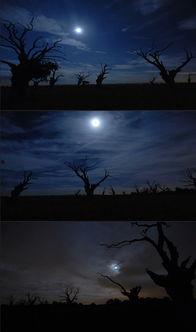 半夜爆料的视频素材,神秘视频曝光,真相令人震惊! 第3张 半夜爆料的视频素材,神秘视频曝光,真相令人震惊! 第3张